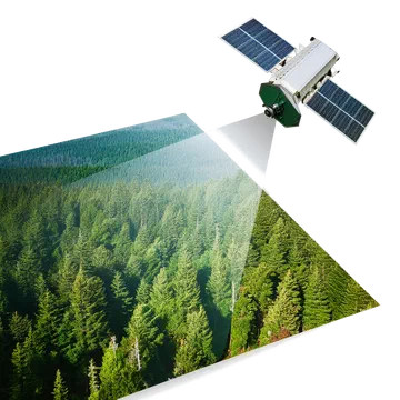 Satellitendaten und Wald