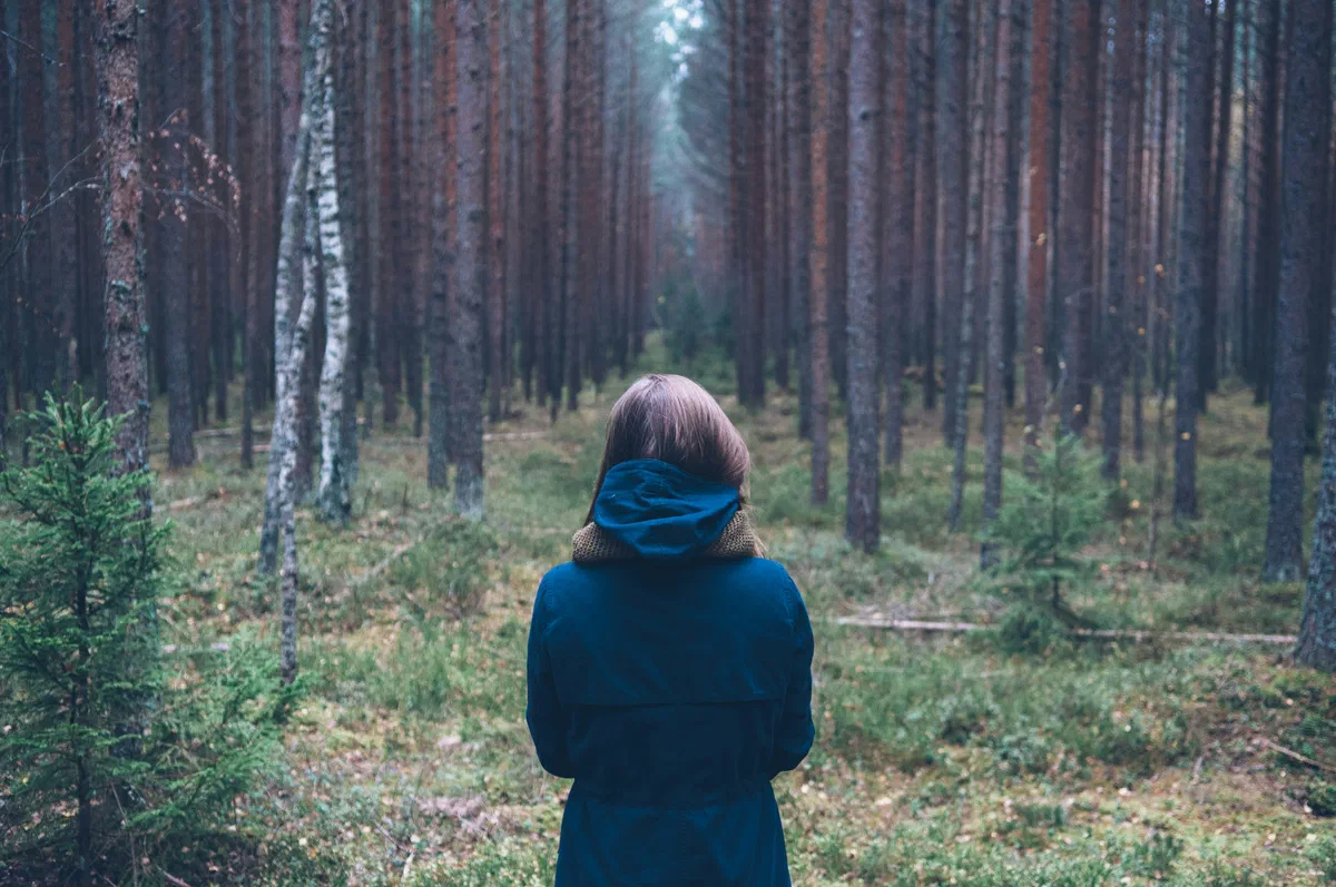 Wald geerbt: Was jetzt?
