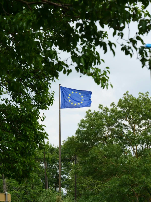 EUDR und was sie für deinen Wald wirklich bedeutet